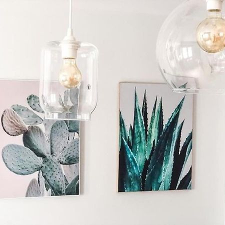 Los Cactus 1 Las Palmas de Gran Canaria Eksteriør billede